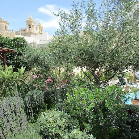 The Rigiana
